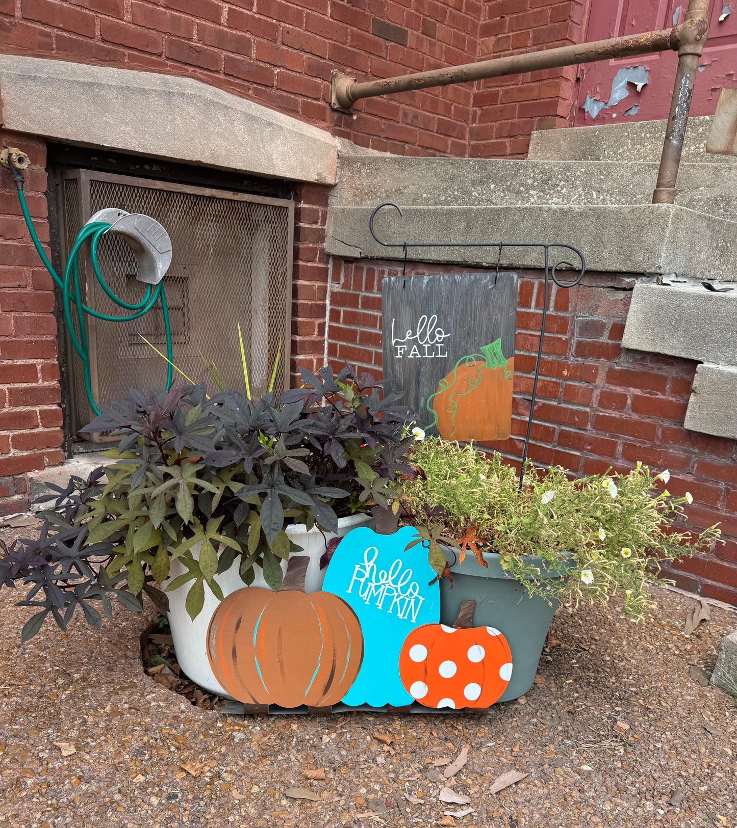 Standing Fall Pumpkins (3 pumpkins)
